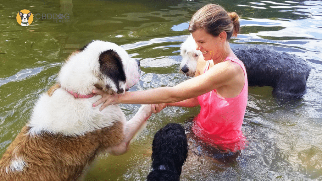 Keeping your dog cool and hydrated this summer