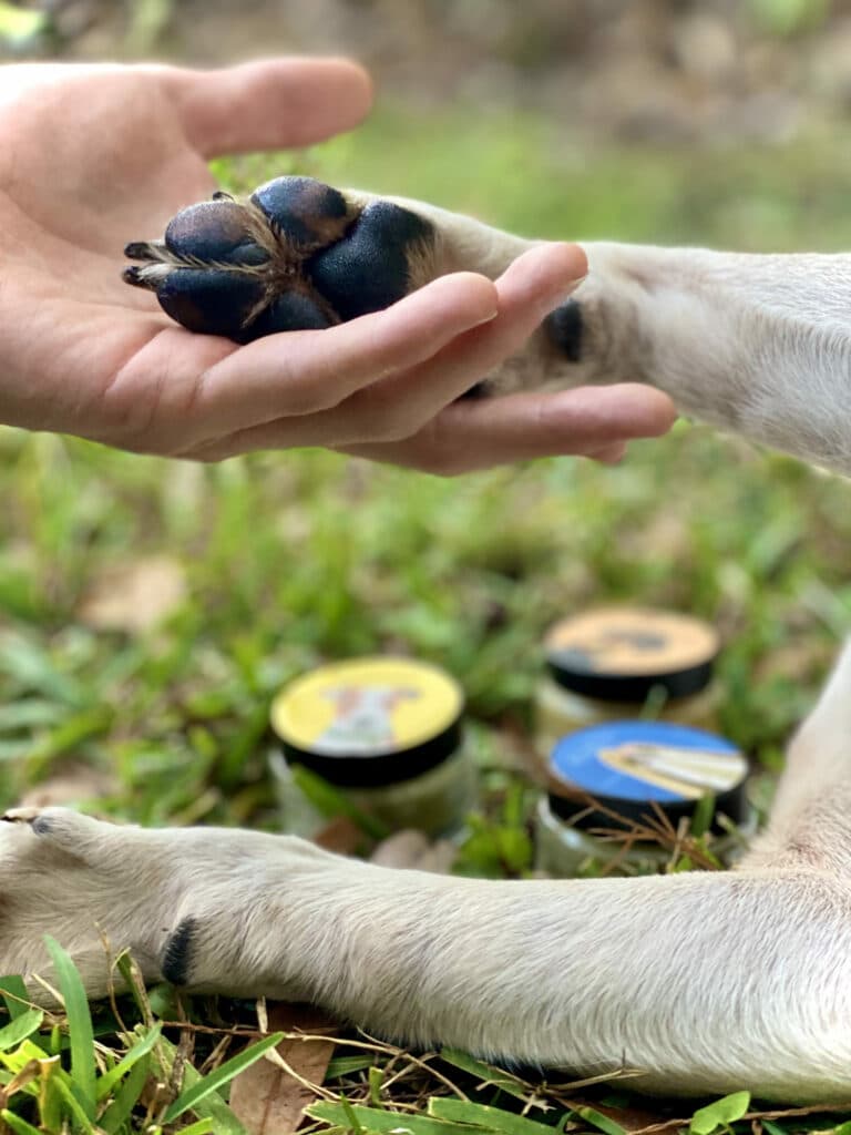 Jolene Paws with Salves