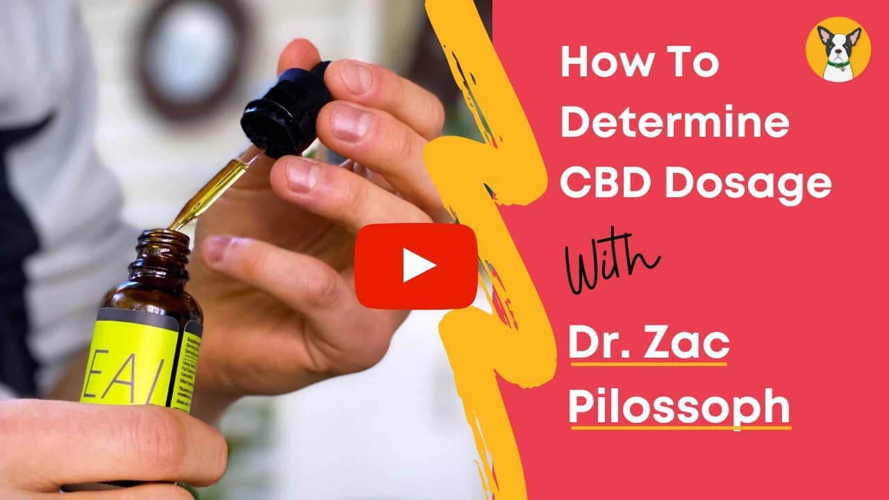 Dr. Zac Dosage Video