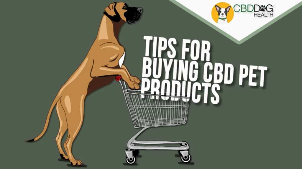 10 tips for buying cbd for pets dogs cats horses coa research brands cbd pet products guide