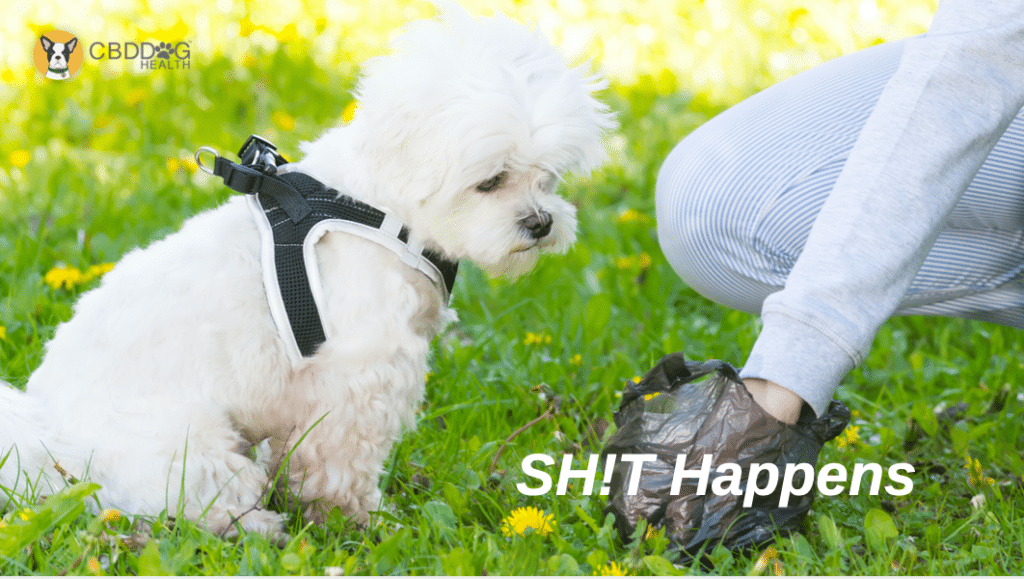 Sh!t happens