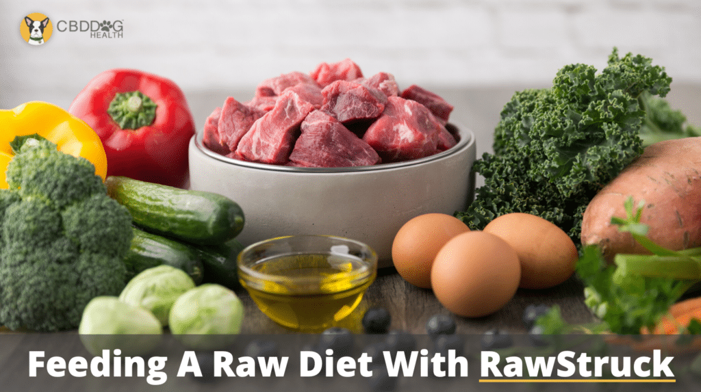 The Steps To Feeding A Raw Diet