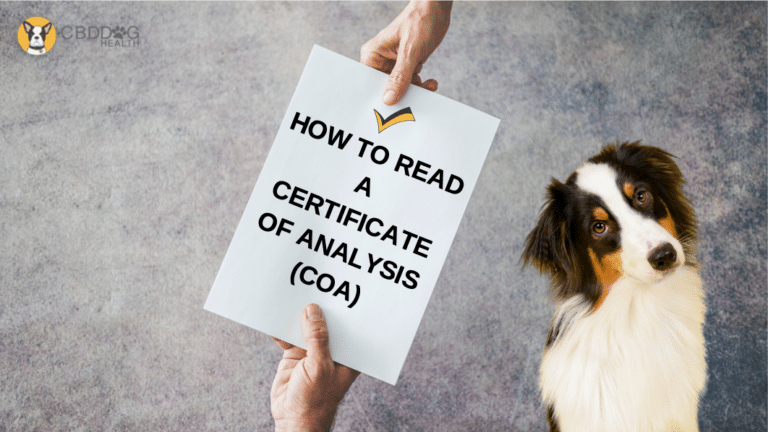 How To Read A COA