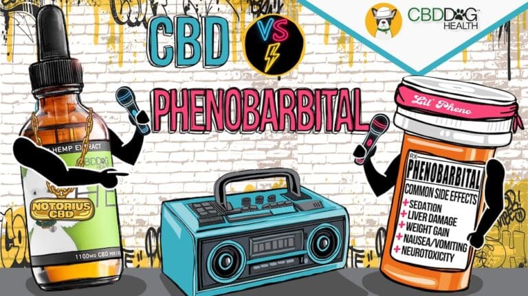 Dog Seizures CBD vs. Phenobarbital