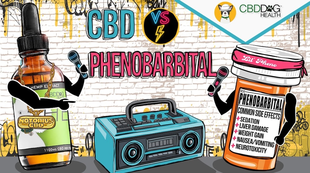 Dog Seizures CBD vs. Phenobarbital