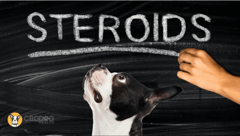 Steriods vs CBD