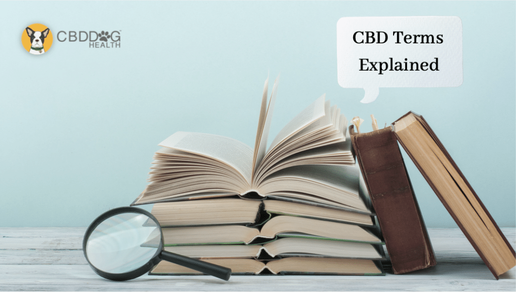 CBD Terms Explained