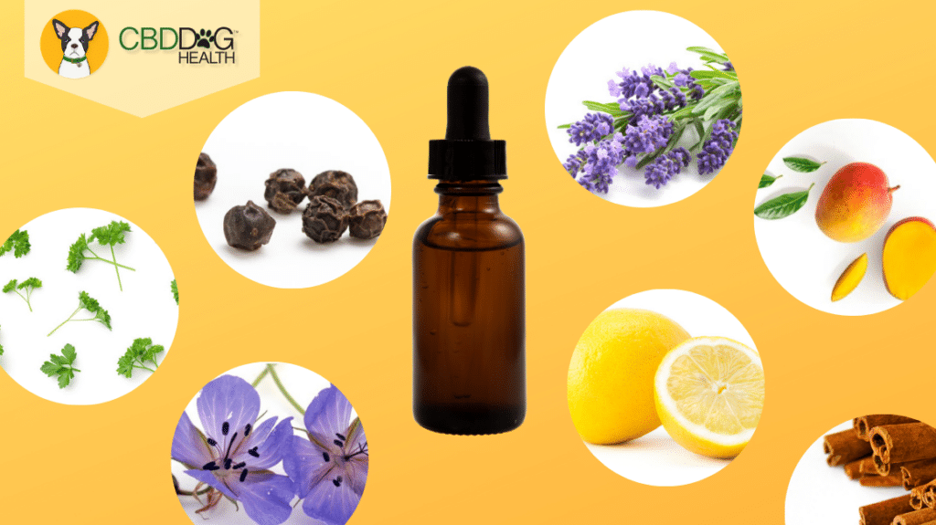 What Are Terpenes?