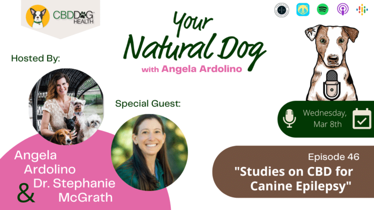 CBD for epilepsy seizures studies research on cannabis cbd for dogs with epilepsy dr. stephanie mcgrath on your natural dog podcast