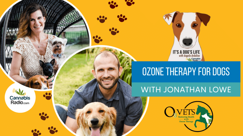 Ozone Therapy for Dogs with Jonathan Lowe
