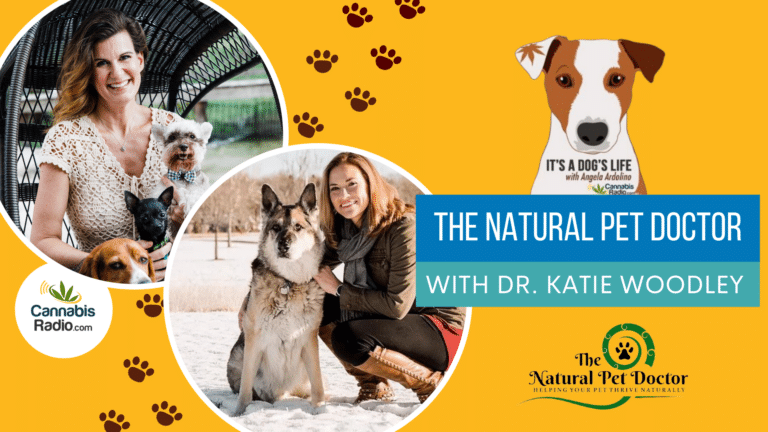 The Natural Pet Doctor with Founder Dr. Katie Woodley
