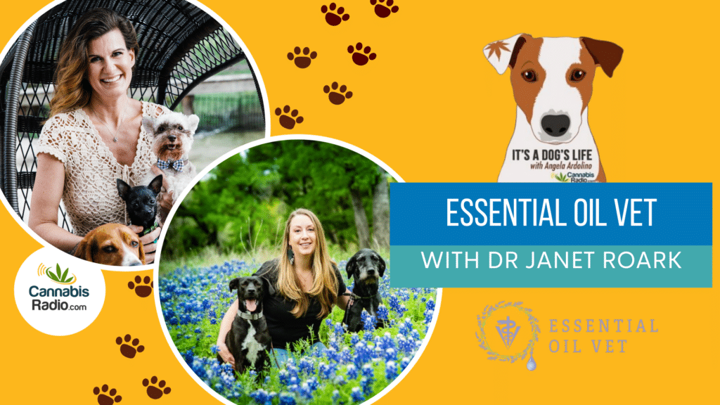 podcast dr janet roark essential oil vet