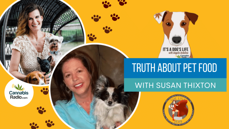 Susan Thixton on It's A Dog's Life