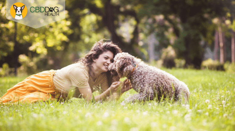 Pets and Mental Health Featured Image