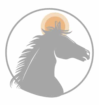 Administer CBD oil dosage for horses - administer to ears