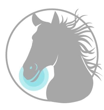 Administer CBD oil dosage for horses - administer to gums