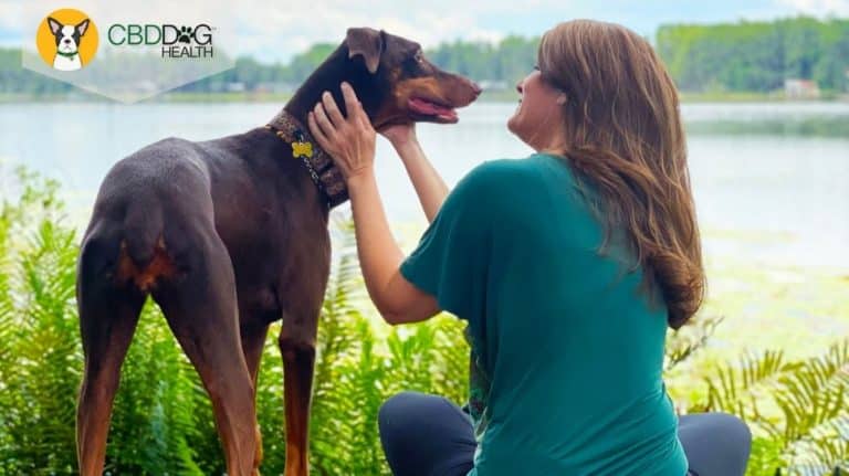Nina Osteosarcoma Update - How I Kept My Dog's Cancer From Spreading - Blog Featured Image