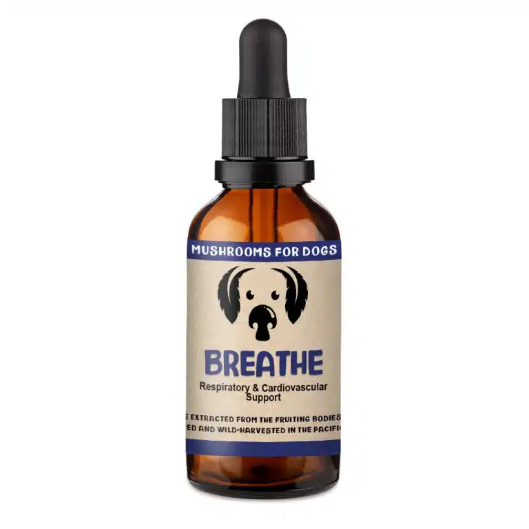 breathe mushrooms for dogs brachycephalic mushroom extract tincture for dogs cardiovascular breathing support bull dogs french