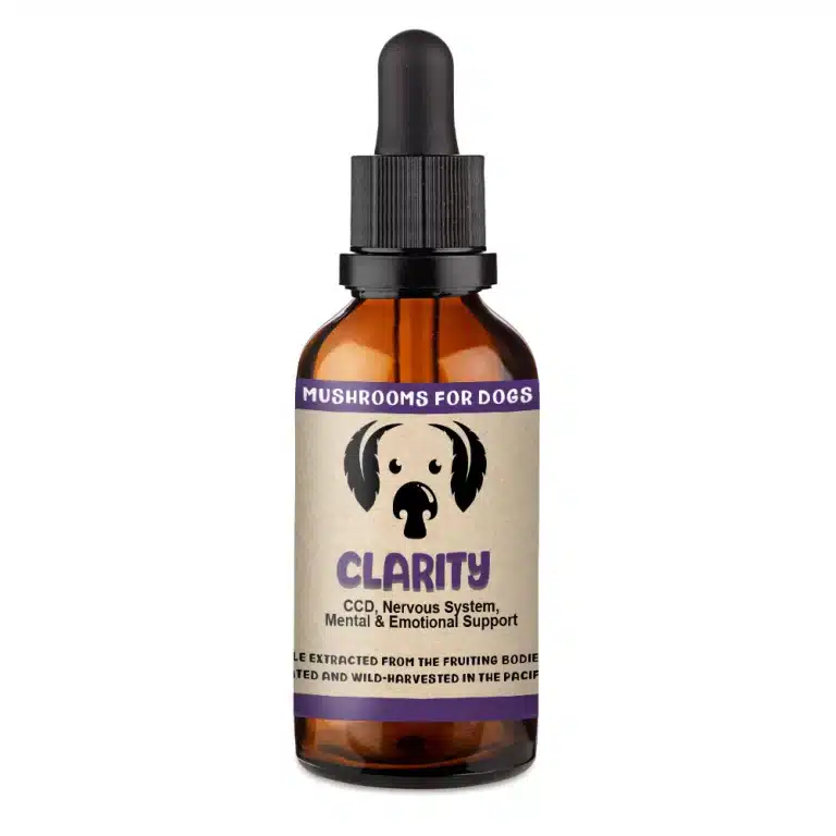 clarity mushrooms for dogs mushroom extract for dogs CCD dementia nervous system brain support senior dogs