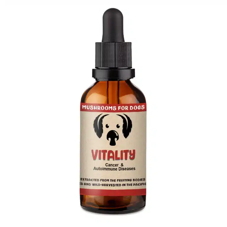 vitality mushrooms for dogs with cancer mushroom extract tincture supplement for dogs cancer