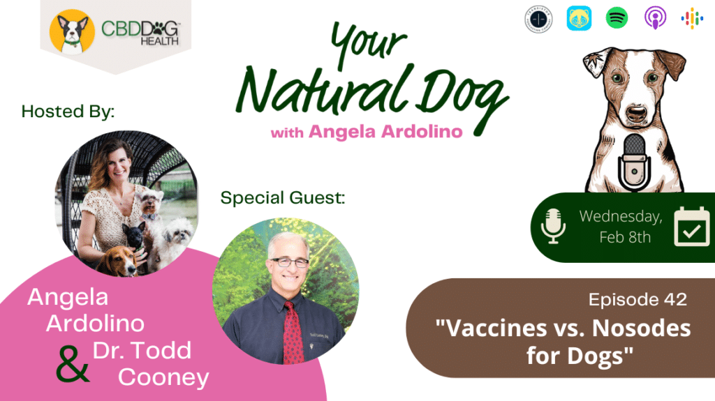 vaccines vs. nosodes for dogs with dr. todd cooney your natural dog podcast with angela ardolino