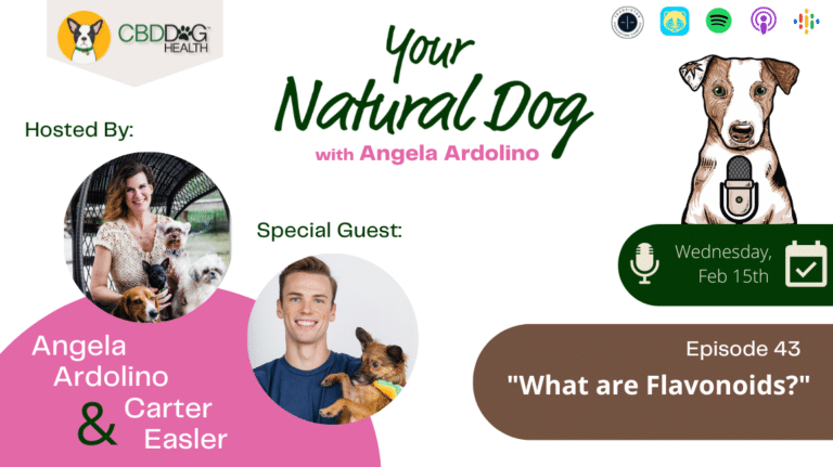what are flavonoids? full spectrum hemp extract cannabis flavonoids your natural dog podcast with angela ardolino