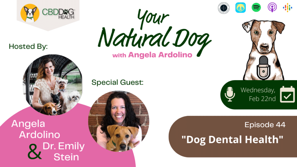 teef dog dental health dr. emily stein on your natural dog podcast with angela ardolino