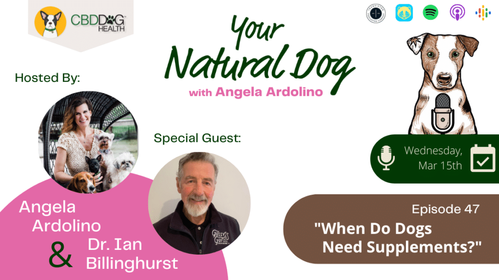 when do dogs need supplements what supplements do dogs need dr ian billinghurst gussy's gut fermented vegetables bones ynd podcast your natural dog with angela ardolino