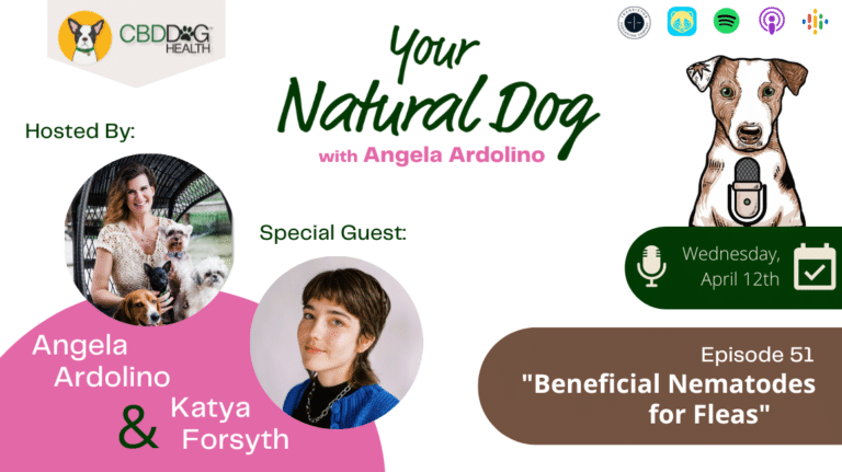 Beneficial Nematodes for Fleas Katya Forsyth Flea Destroyer Your Natural Dog Podcast