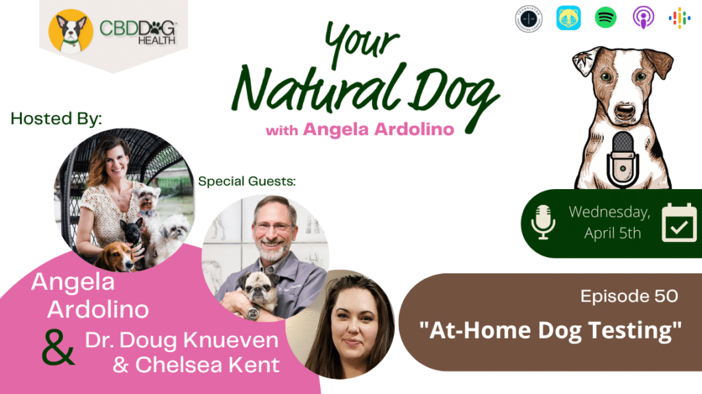 At Home Dog Testing Allergy Test Dr Doug Knueven Chelsea Kent YND Podcast Angela Ardolino