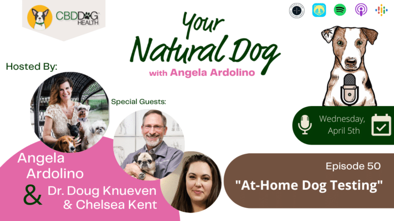 At Home Dog Testing Allergy Test Dr Doug Knueven Chelsea Kent YND Podcast Angela Ardolino