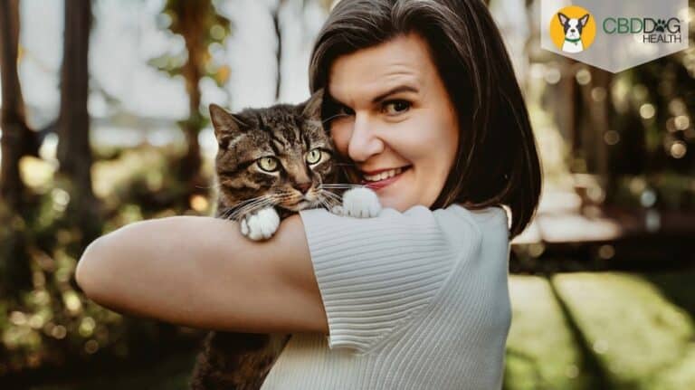 Benefits of CBD oil for cats CBD for cats Angela Ardolino CBD Cat Health CBD Dog Health