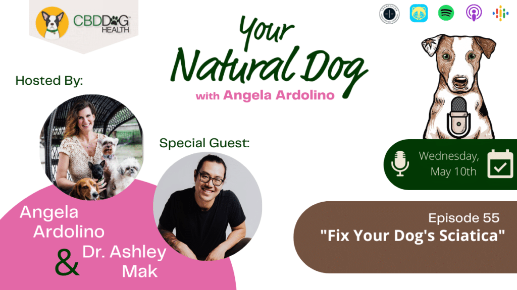 sciatica pain in dogs back pain in dogs dr. ashley mak on your natural dog podcast