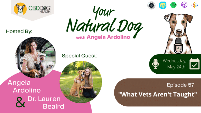 what vets aren't taught, dr lauren beaird, what veterinarians aren't taught in school on your natural dog angela ardolino