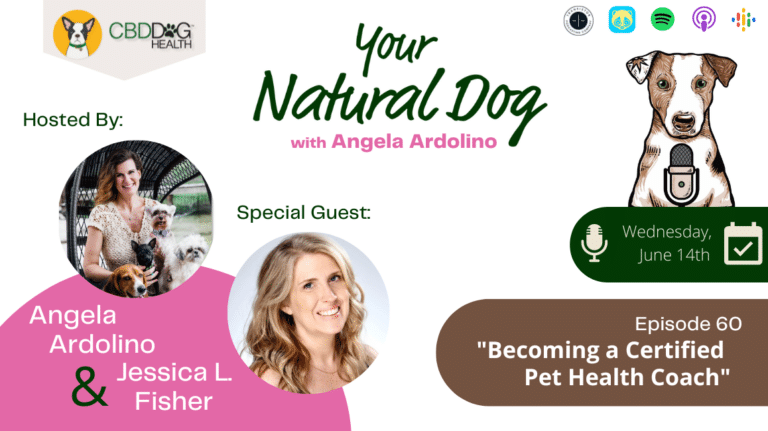 Becoming a certified pet health coach holistic pet health holistic dog health on your natural dog podcast with angela ardolino
