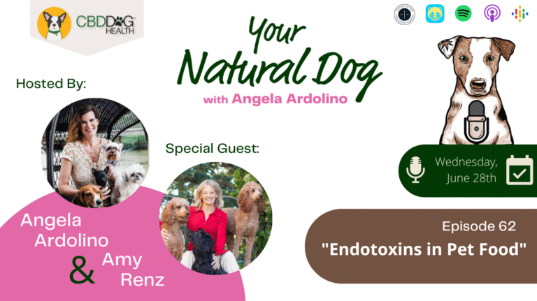 endotoxins in pet food dog food endotoxins dog endotoxicity endotoxemia amy renz goodness gracious your natural dog podcast