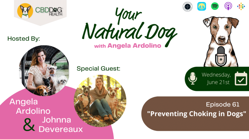 Prevent Choking in Dogs Johnna Devereaux Your Natural Dog podcast angela ardolino national pet choking prevention day