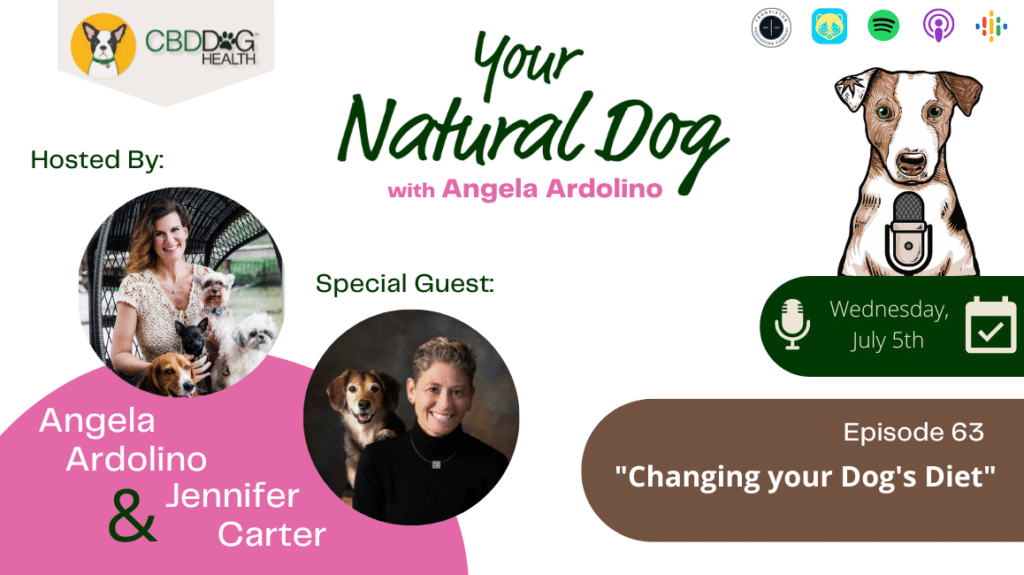 Changing your dog's diet with jennifer carter of volhard dog nutrition your natural dog podcast angela ardolino
