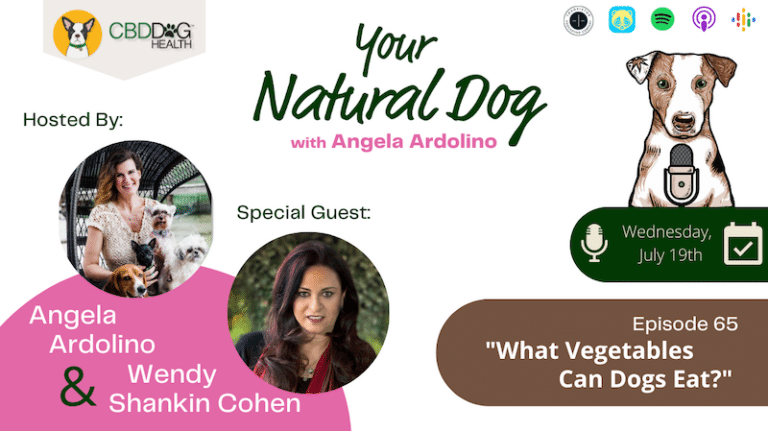 what vegetables can dogs eat with dr. harvey's vegetables for dogs ceo wendy shankin cohen your natural dog podcast angela ardolino