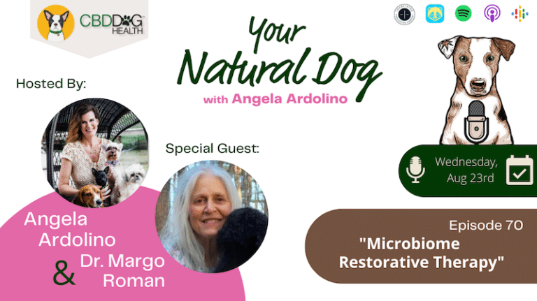 Microbiome Restorative Therapy Dr Margo Roman Dog Fecal Transplants Your Natural Dog Podcast Angela Ardolino