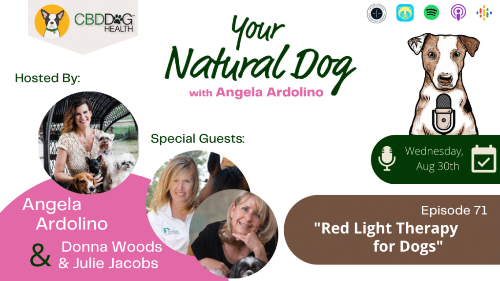 Red light therapy with donna woods julie jacobs photonic health dogs light therapy angela ardolino your natural dog podcast
