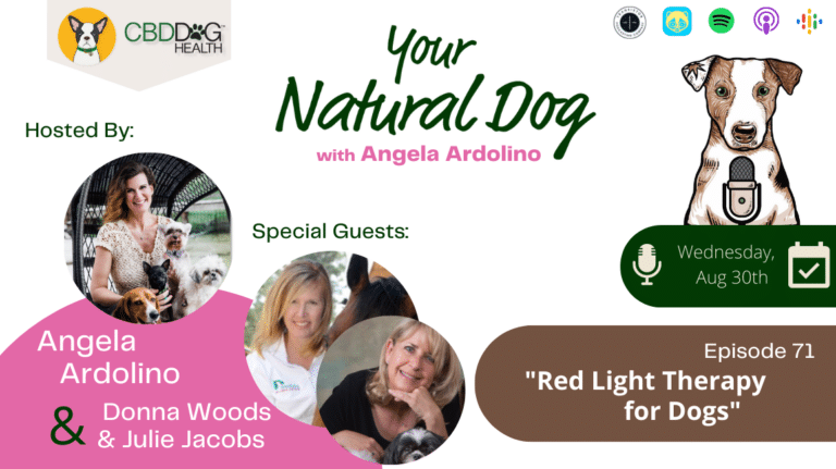 Red light therapy with donna woods julie jacobs photonic health dogs light therapy angela ardolino your natural dog podcast