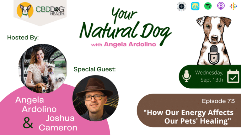 How our energy affects our pets healing joshua cameron towards goodness energy healing meditation YND Podcast