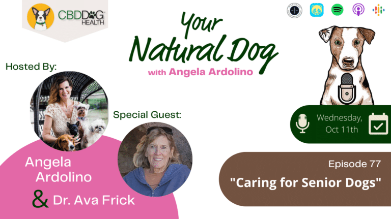 Caring for Senior Dogs Dr Ava Frick YND Podcast