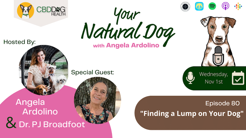 DR PJ Broadfoot Finding a lump tumor on your dog CBD for tumors YND Podcast
