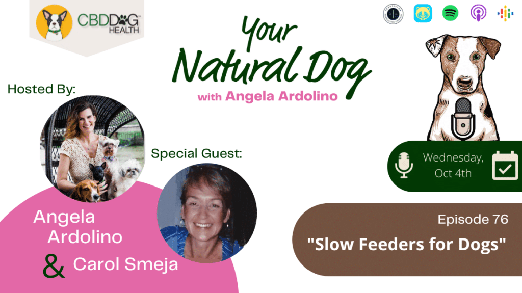 Slow Feeders for Dogs Mine Pet Platter Your Natural Dog Podcast