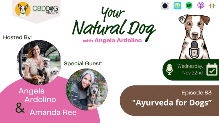 Ayurveda for Dogs Amanda Ree SamaDog ayurvedic dog your natural dog YND Podcast
