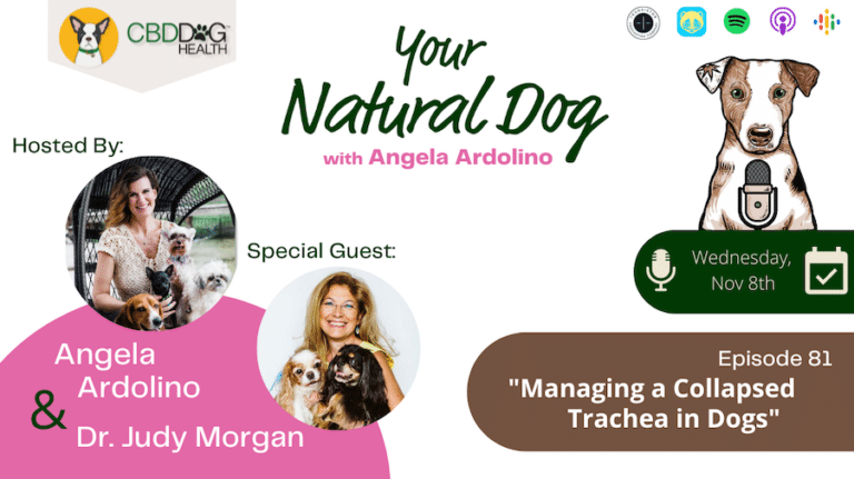 Collapsed Trachea in dogs Dr Judy Morgan CBD for collapsed trachea YND Podcast