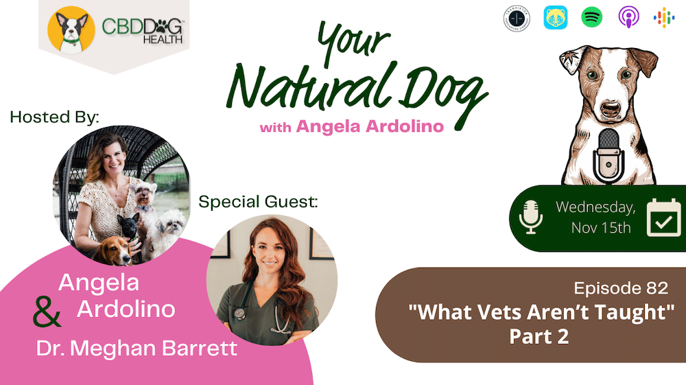 What Vets Arent Taught Dr Meghan Barrett on Your Natural Dog Podcast