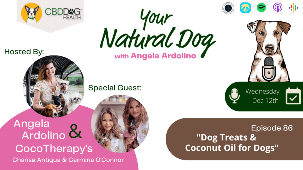 cocotherapy dog treats coconut oil for dogs best vegan dog treats blanche's edibles YND